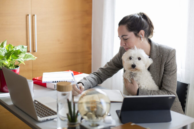 young-woman-working-table-with-her-dog
